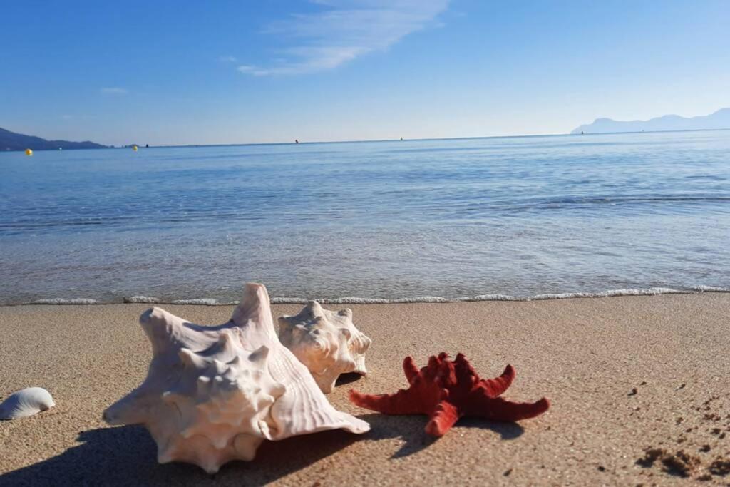 Apartment Apartment Francesca Beach With Pool In Playa De Alcudia
