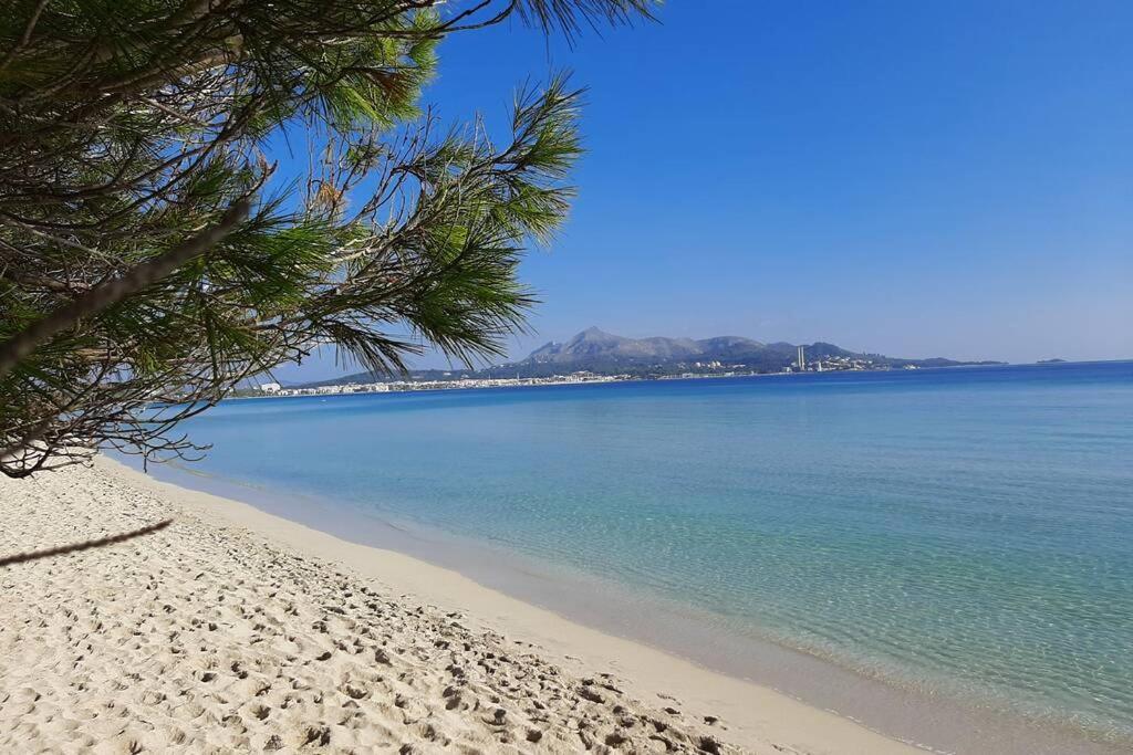 Apartment Francesca Beach With Pool In Playa De Alcudia Alcúdia