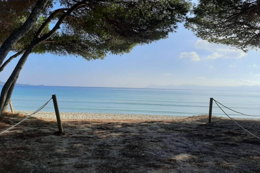 Apartment Apartment Francesca Beach With Pool In Playa De Alcudia *