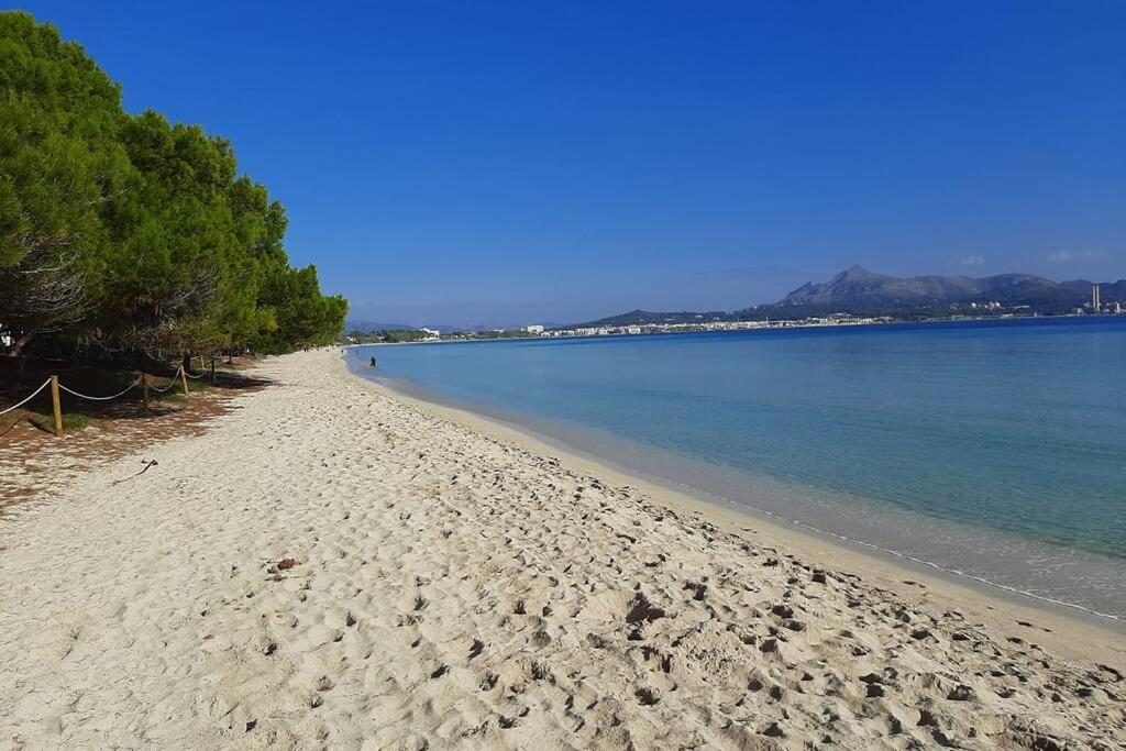Apartment Francesca Beach With Pool In Playa De Alcudia Apartment