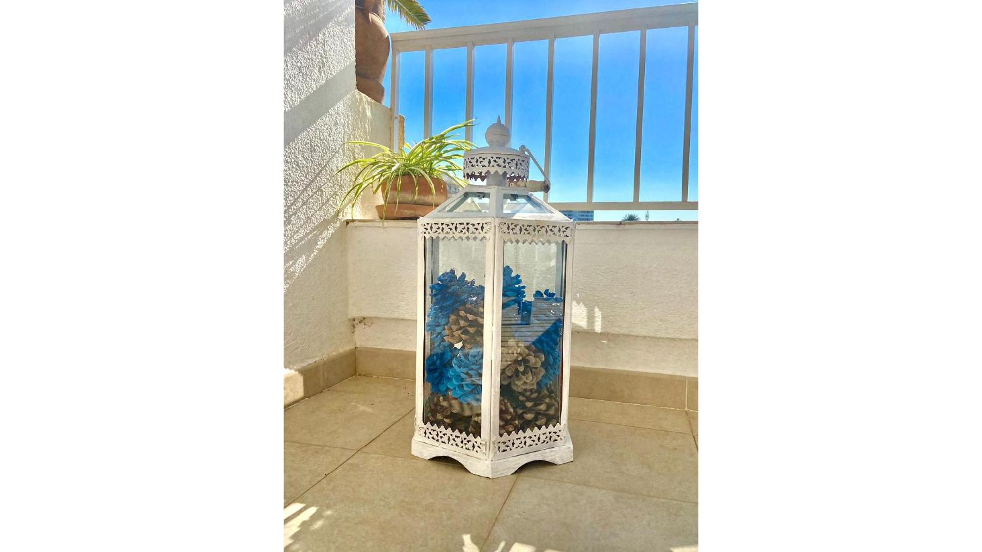 Apartment Francesca Beach With Pool In Playa De Alcudia *